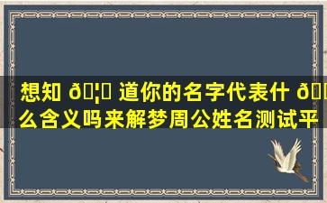 想知 🦁 道你的名字代表什 🌷 么含义吗来解梦周公姓名测试平台！